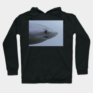 Shy Shark Meme Hoodie